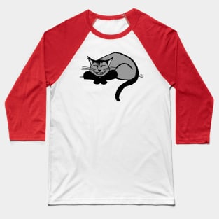 Grinning Cat Baseball T-Shirt